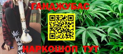 эйфоретик Славгород
