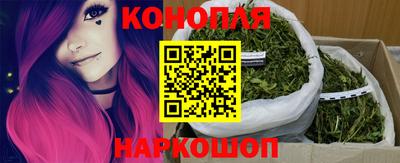 дживик Ставрополь