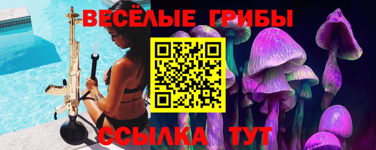 Псилоцибиновые грибы Psilocybe Мичуринск