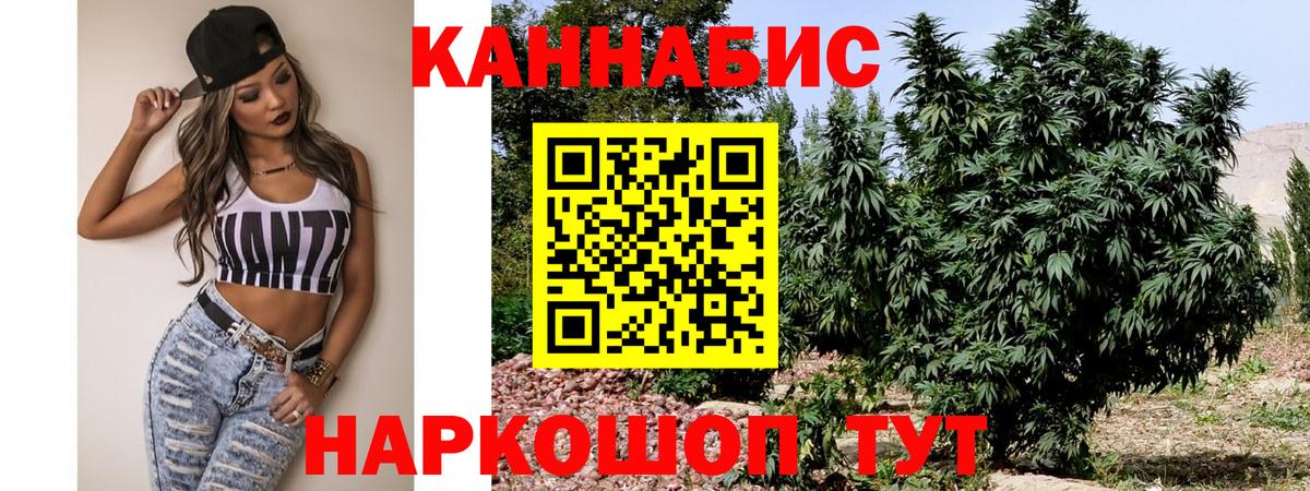 МАРИХУАНА ГИДРОПОН  Вход с VPN  Марихуана ГИДРОПОН  Мичуринск 